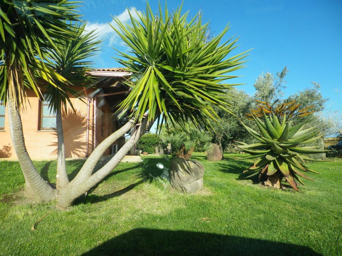 CuccuruAio' B&B Siamaggiore Esterno foto