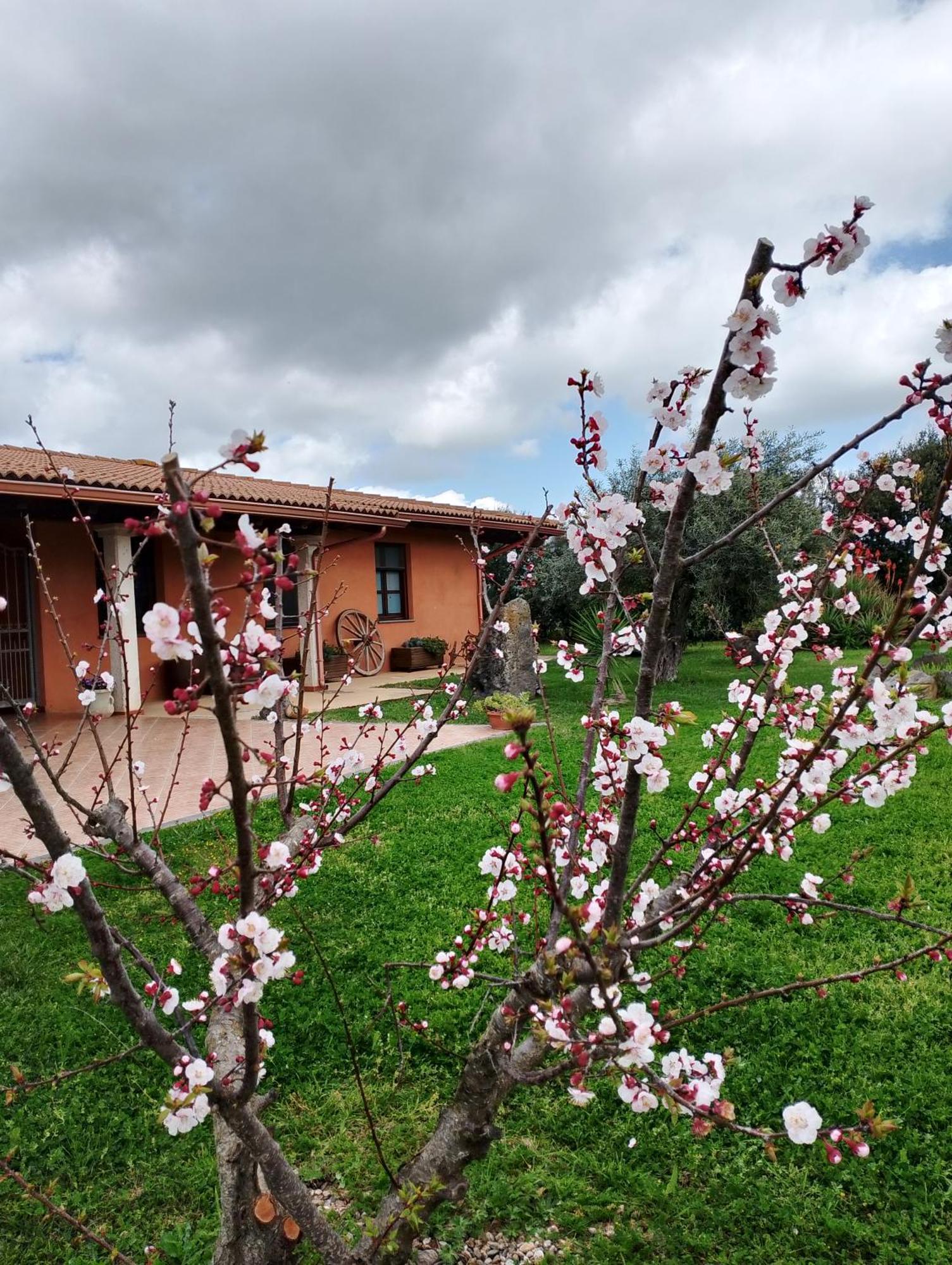 CuccuruAio' B&B Siamaggiore Esterno foto